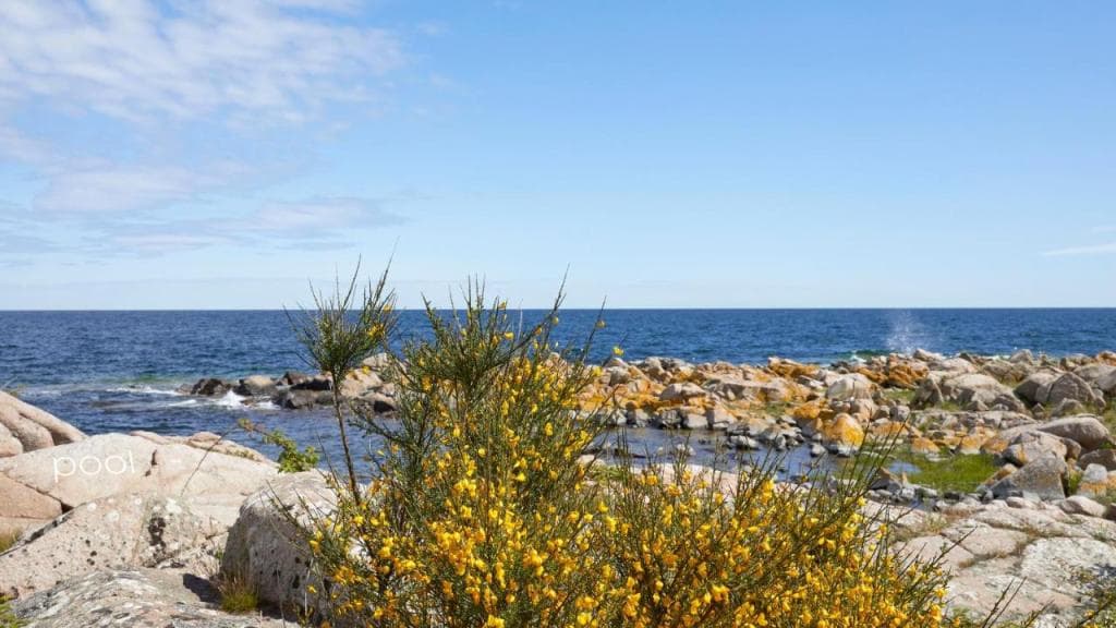 Nordlandet