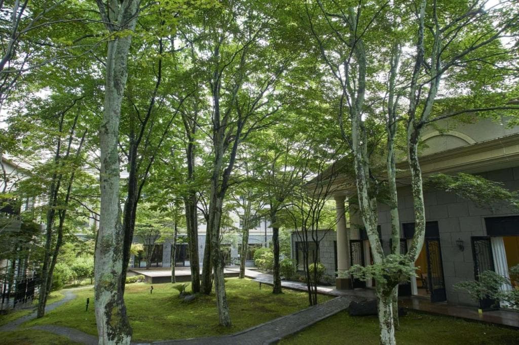 Kyukaruizawa Kikyo, Curio Collection by Hilton