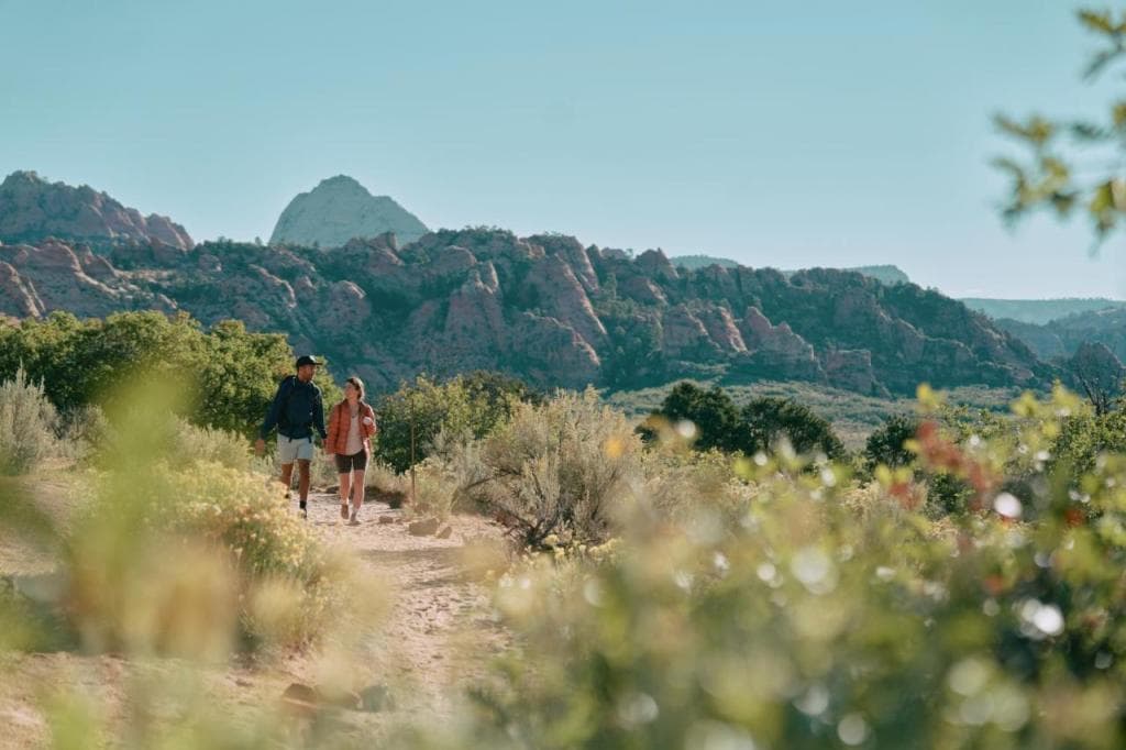 AutoCamp Zion