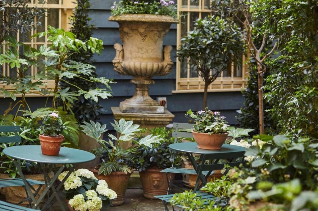 The Rookery
