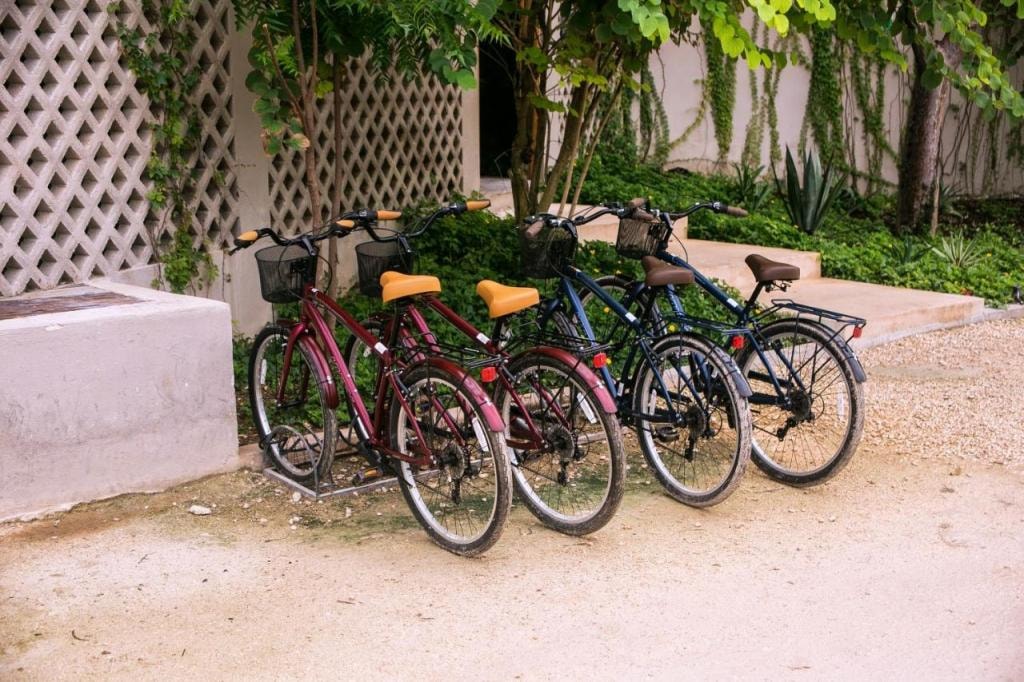 Alea Tulum