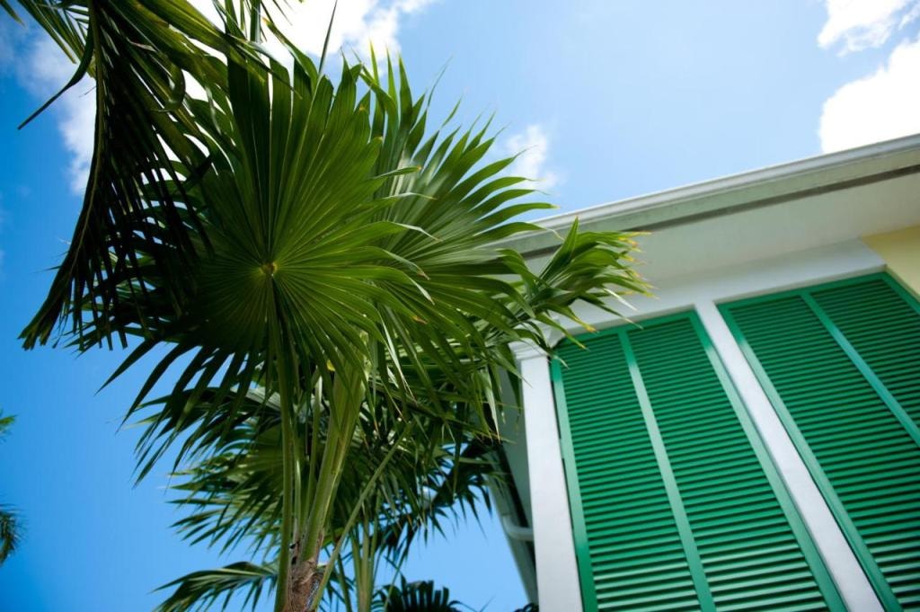 Almond Tree Inn - Adults Only, Key West, USA, Downtown Key West