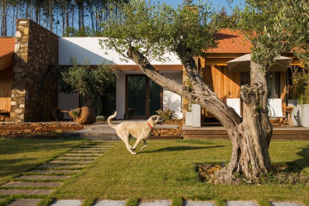TEIMA, Alentejo SW