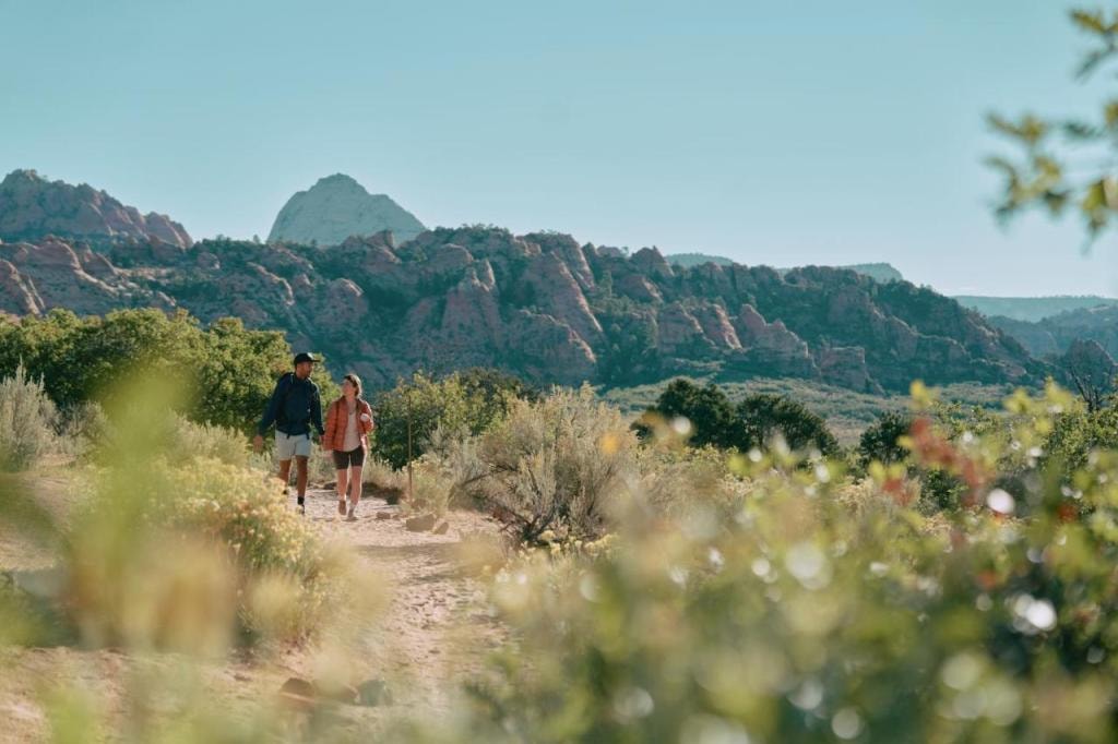 AutoCamp Zion