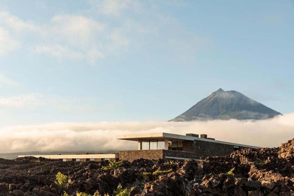 Azores Wine Company