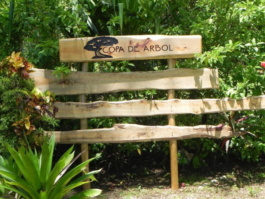 Copa De Arbol Beach & Rainforest Resort