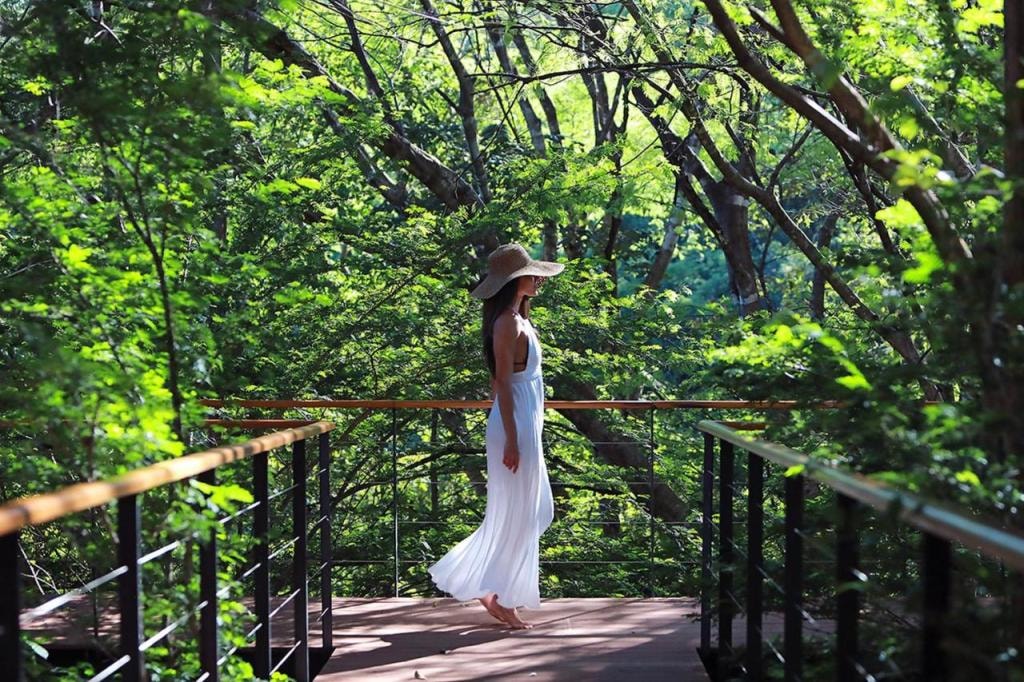 Rio Perdido Hotel & Thermal River
