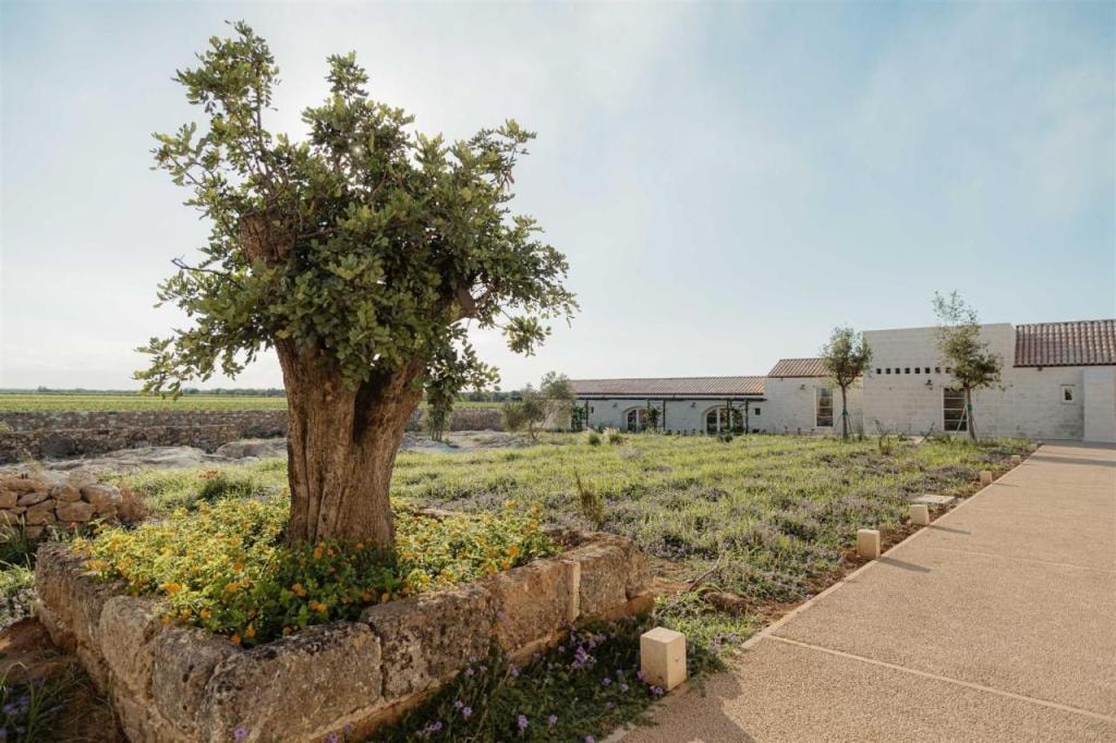 Masseria Vaccaro - Boutique Hotel