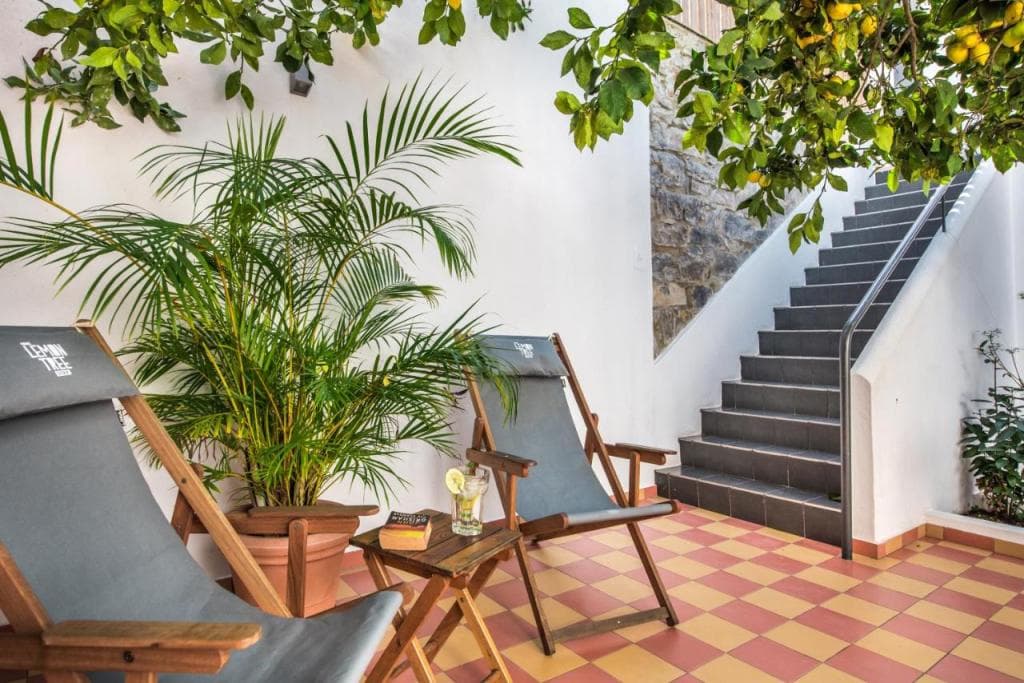 Lemon Tree Stay