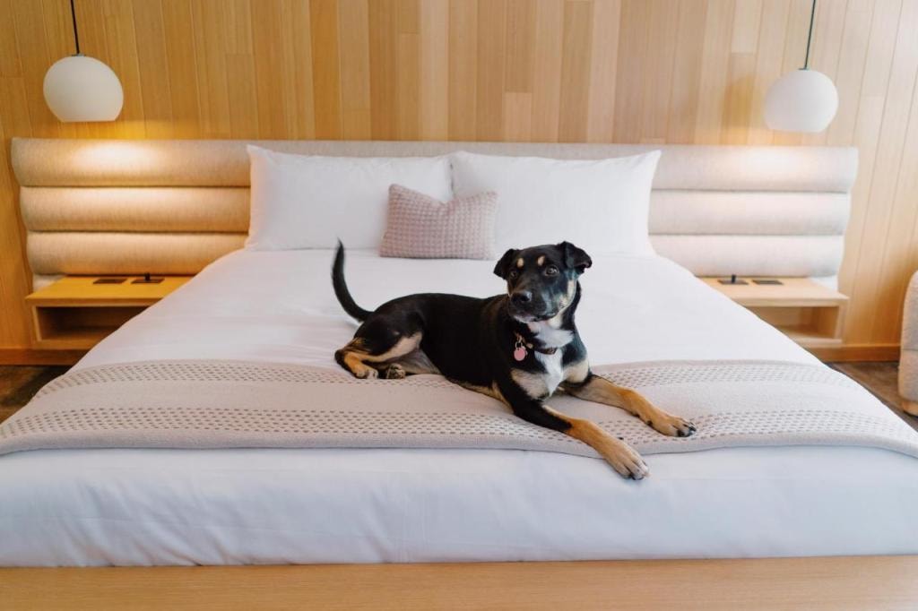 Azure Sky Hotel - Adults Only - A Town & Desert Boutique Hotel
