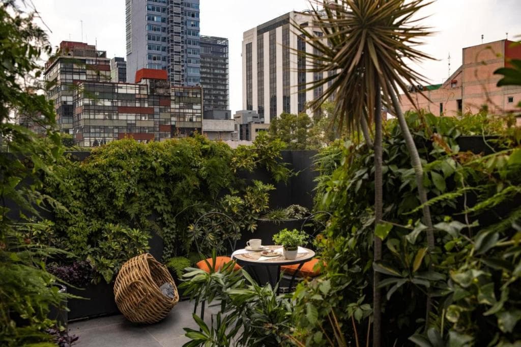 Reforma Guest House