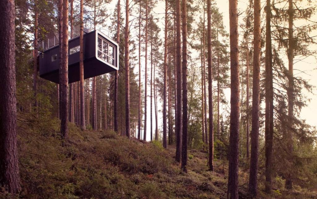 Treehotel