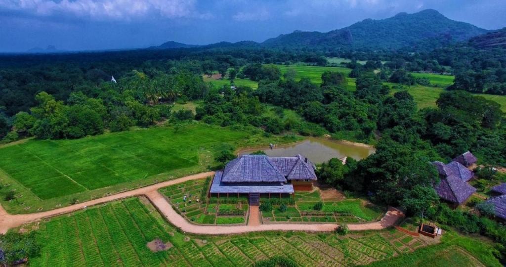 Amuna Ayurveda and Wellness Retreat