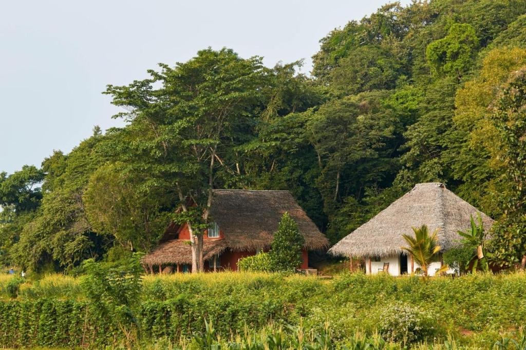 Amuna Ayurveda and Wellness Retreat