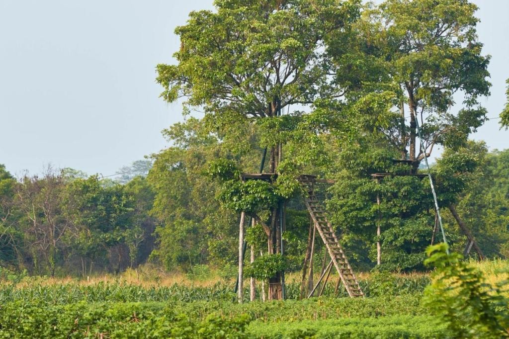 Amuna Ayurveda and Wellness Retreat