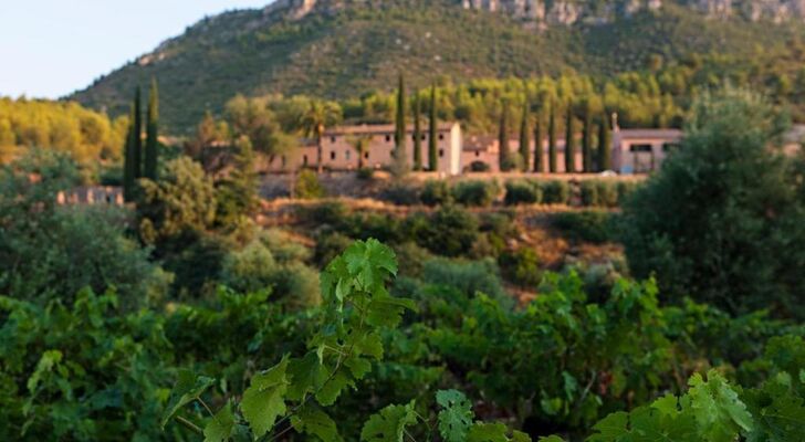 Terra Dominicata - Hotel & Winery - Adults Only