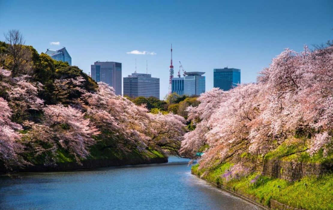 Four Seasons Hotel Tokyo at Marunouchi
