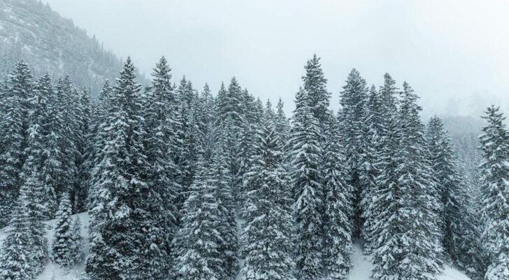 NEW Hotel Kristberg in Lech - new opening since December 2025