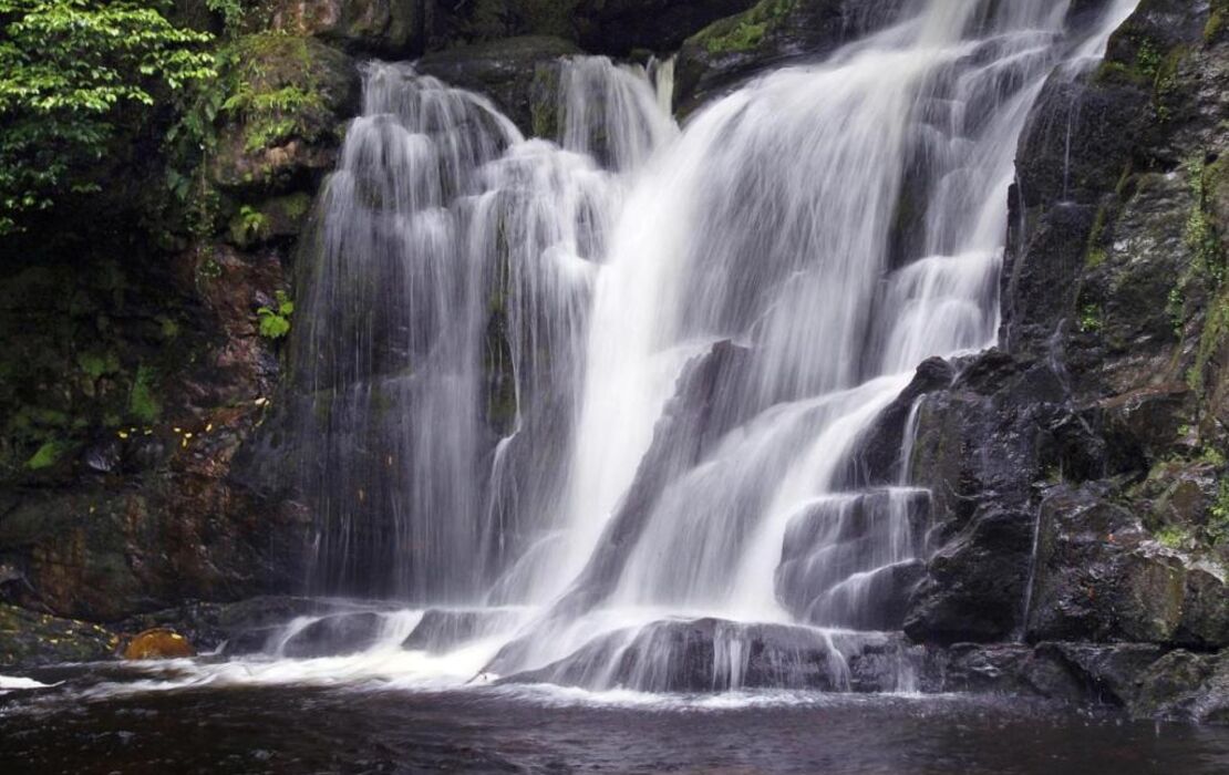 The Killarney Park