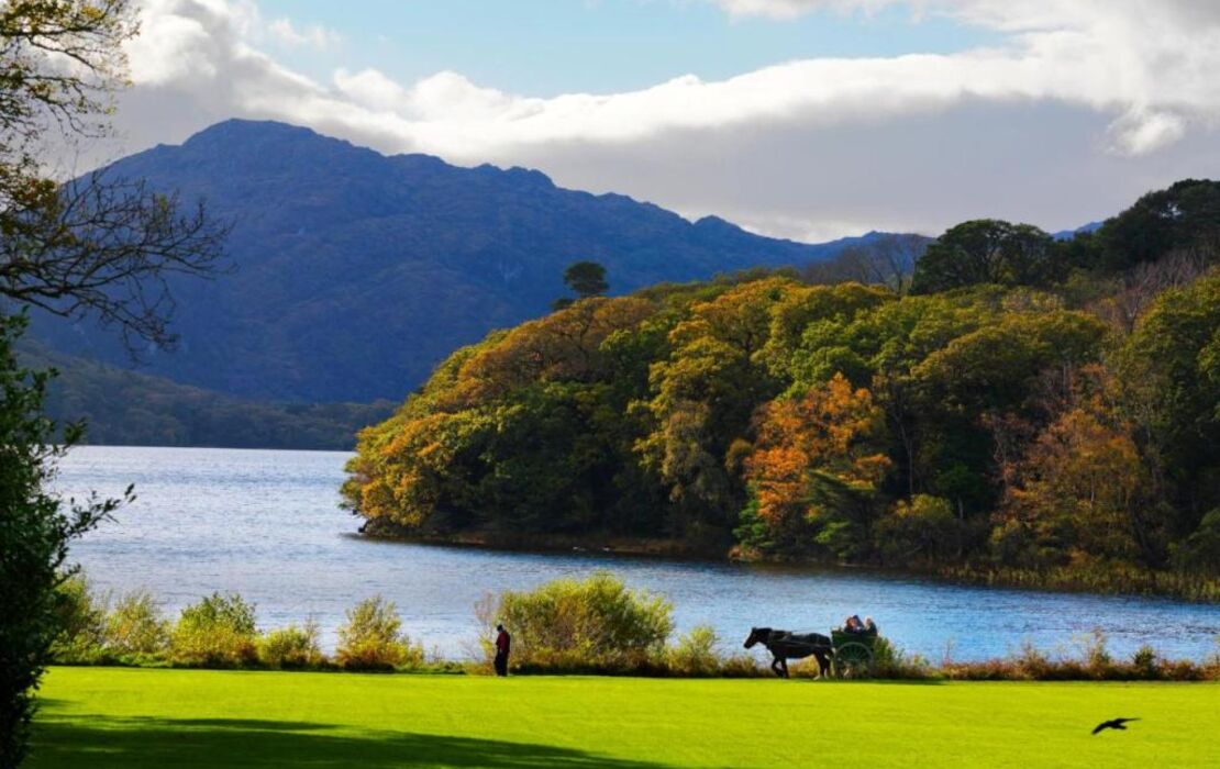 The Killarney Park