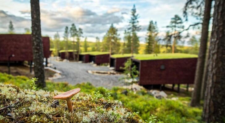 Arctic TreeHouse Hotel