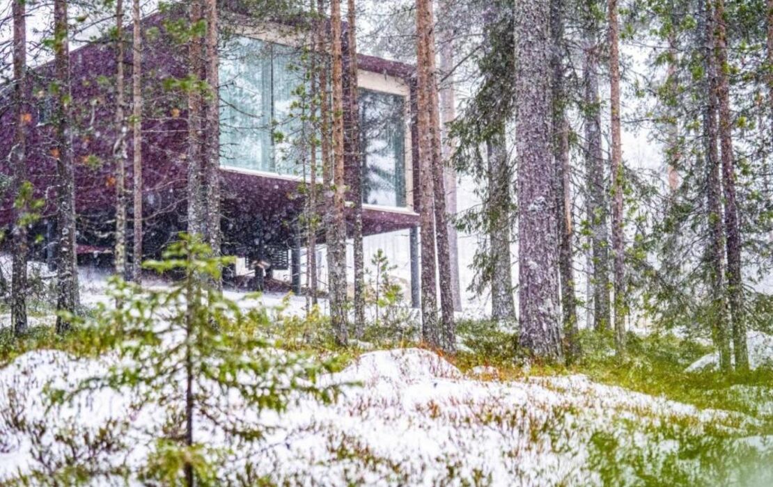 Arctic TreeHouse Hotel