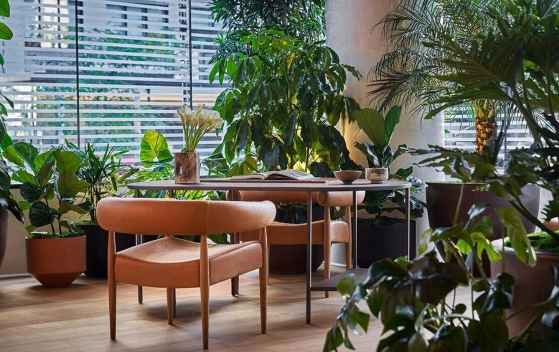 Pendry Manhattan West