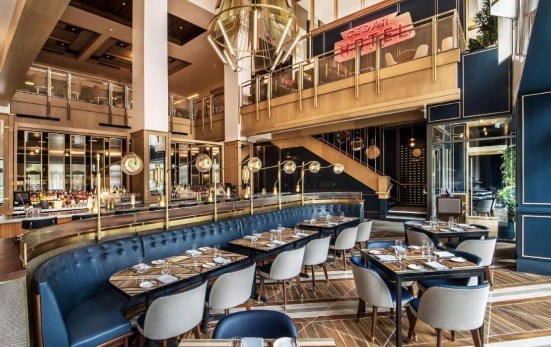 Viceroy Chicago