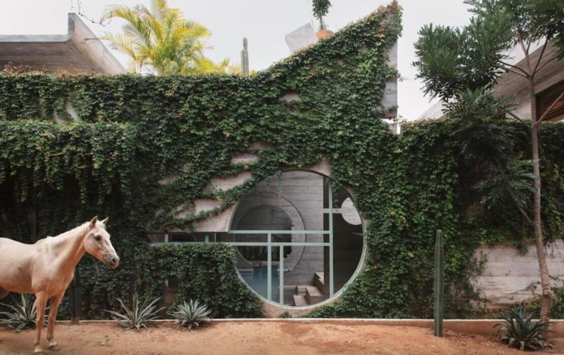 Casa TO - Adults Only