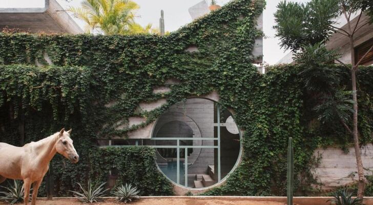 Casa TO - Adults Only