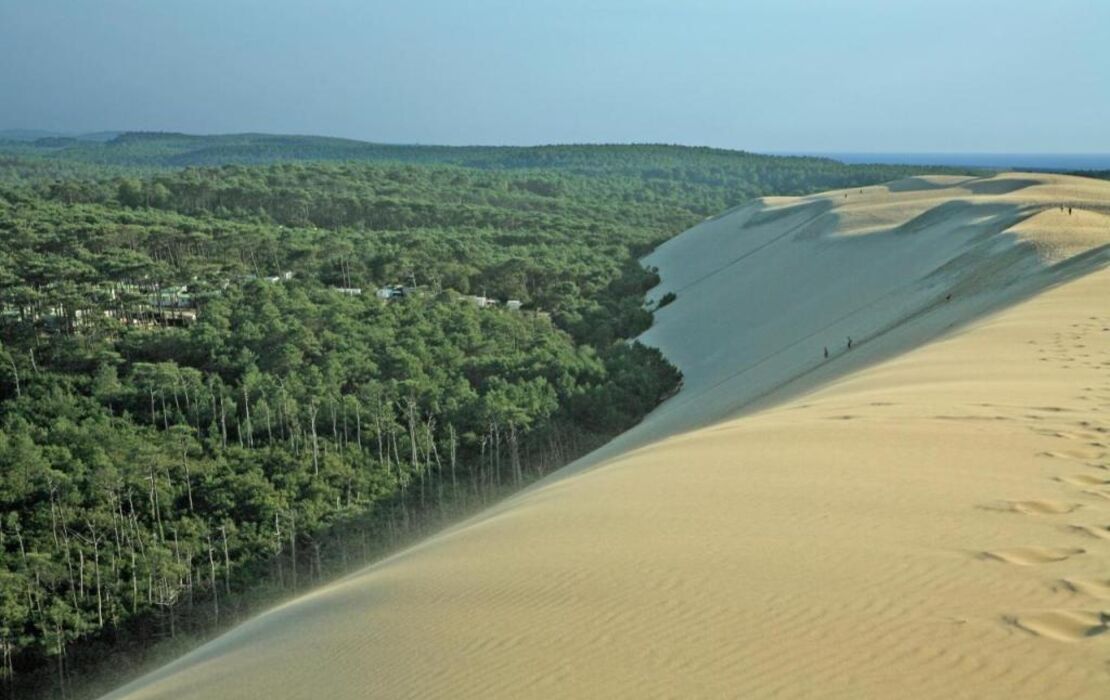 Domaine Jean-Got, proche de Saint Emilion