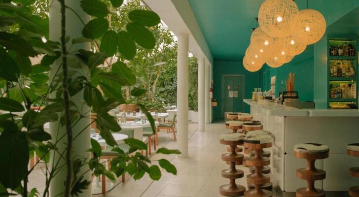 Condesa df, Mexico City, a Member of Design Hotels