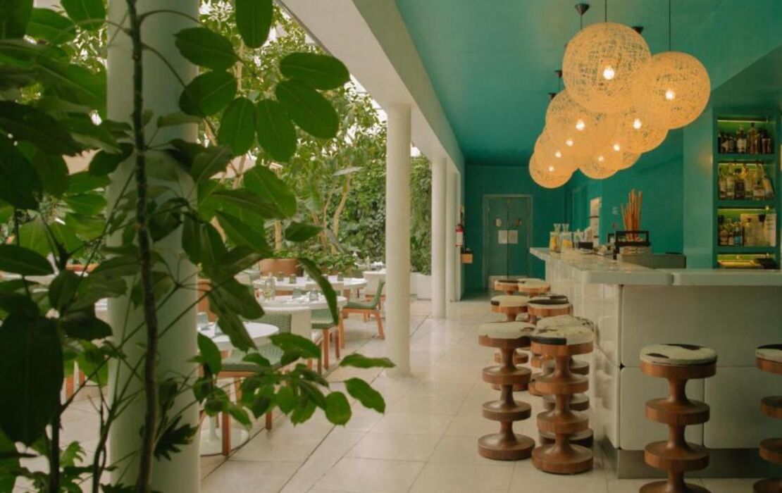 Condesa df, Mexico City, a Member of Design Hotels