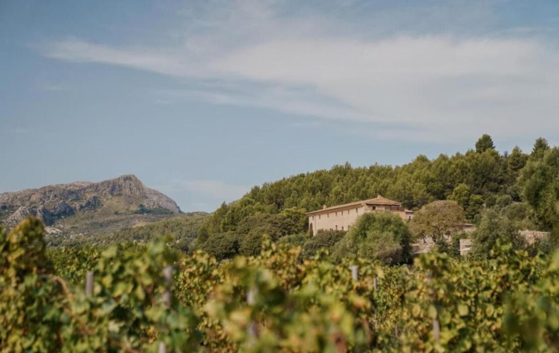 Son Brull Hotel & Spa