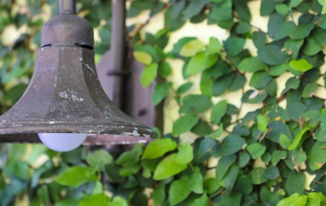 Almond Tree Inn - Adults Only