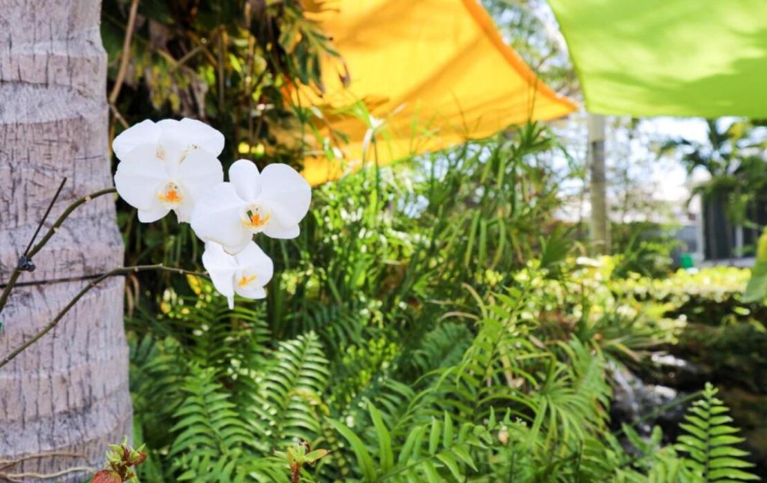 Almond Tree Inn - Adults Only