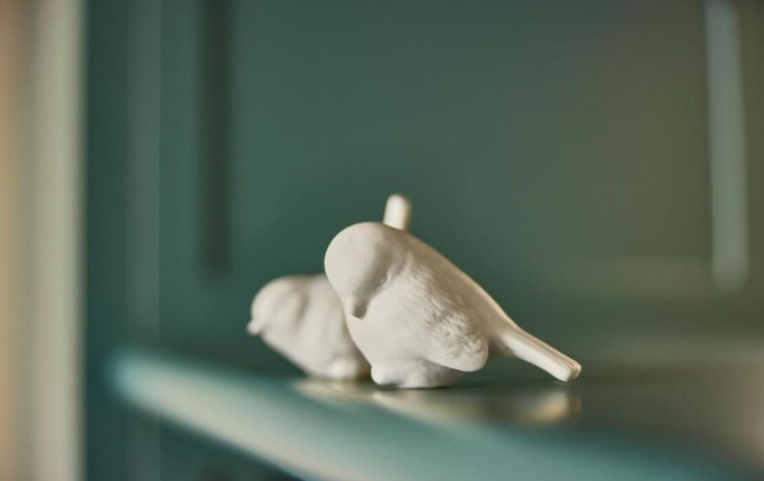 The July - Boat & Co