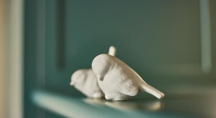 The July - Boat & Co