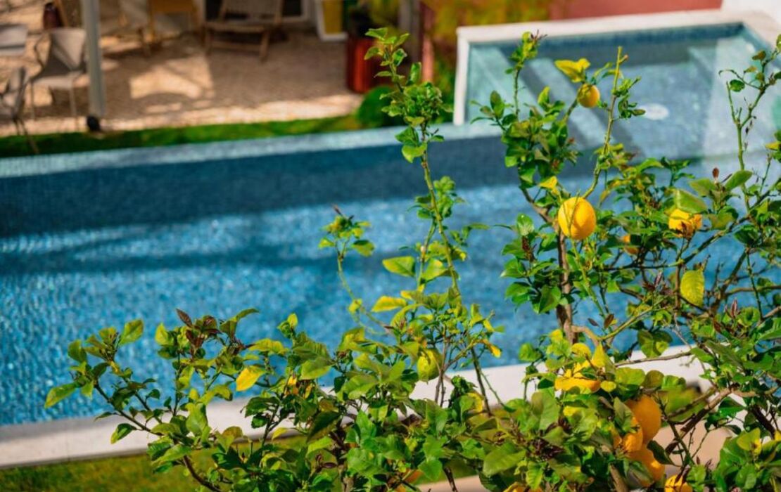 Jardim da Lapa by Shiadu