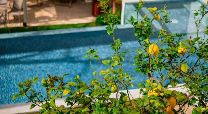 Jardim da Lapa by Shiadu