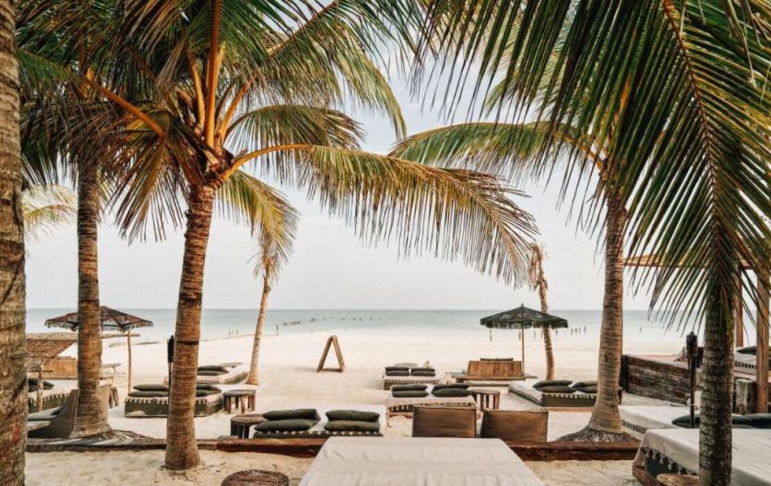 Nômade Temple Holbox