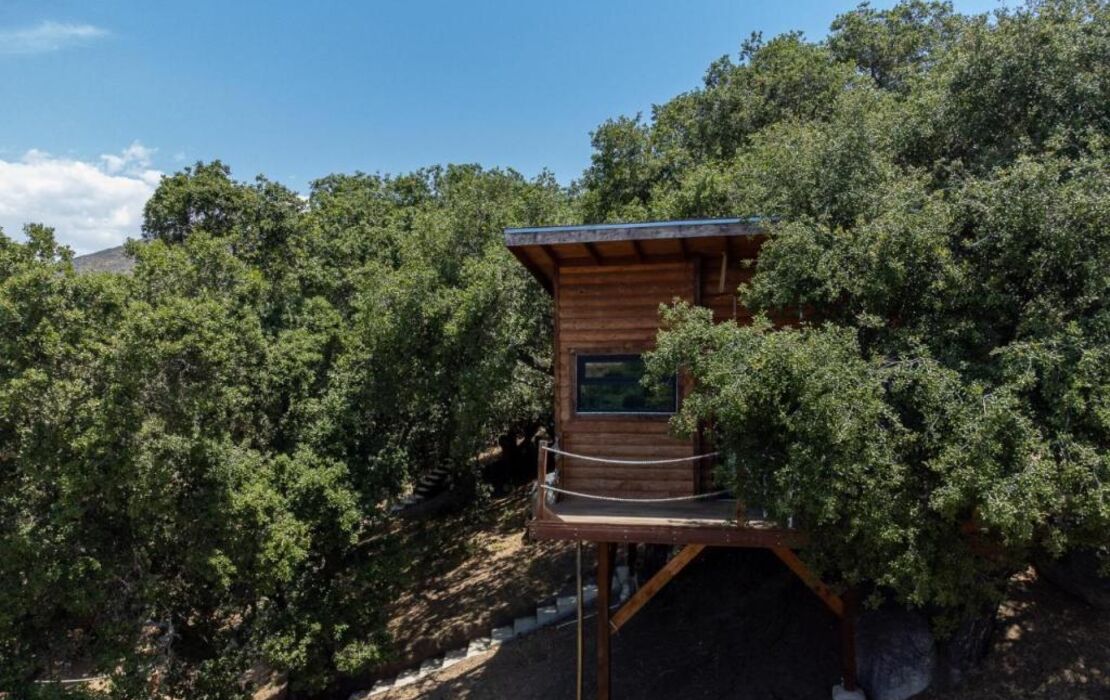 Boskenvid Hotel - Romantic Treehouses & Skypool