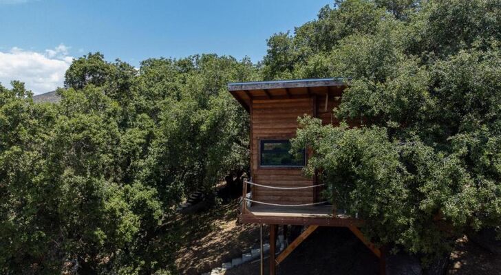 Boskenvid Hotel - Romantic Treehouses & Skypool