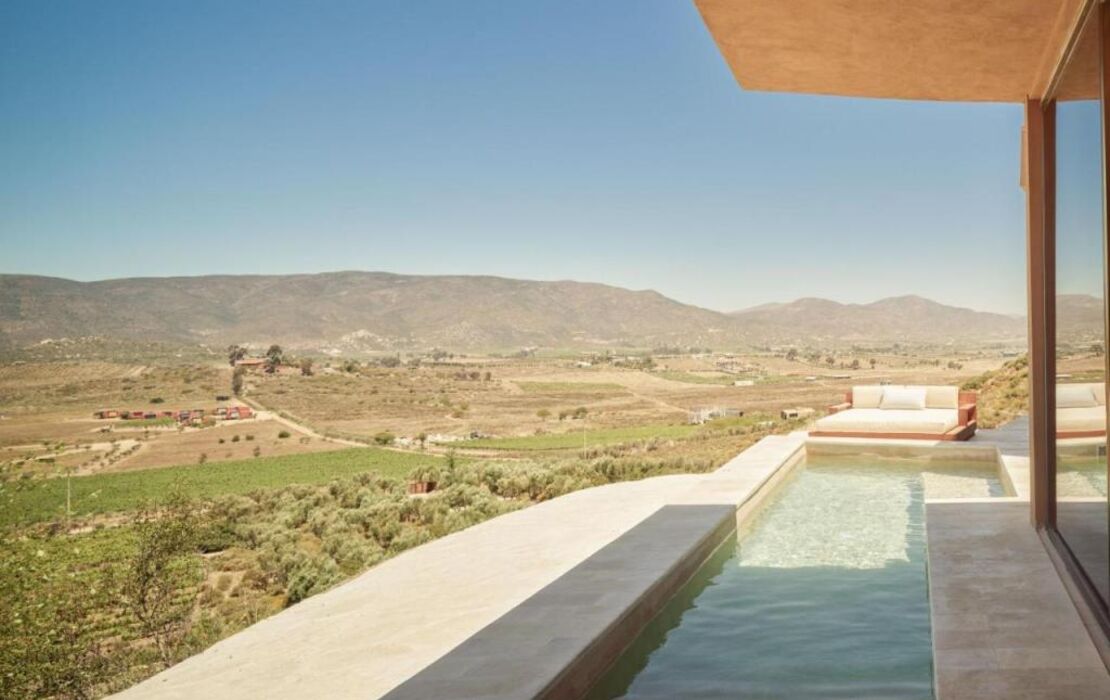 Banyan Tree Veya, Valle de Guadalupe