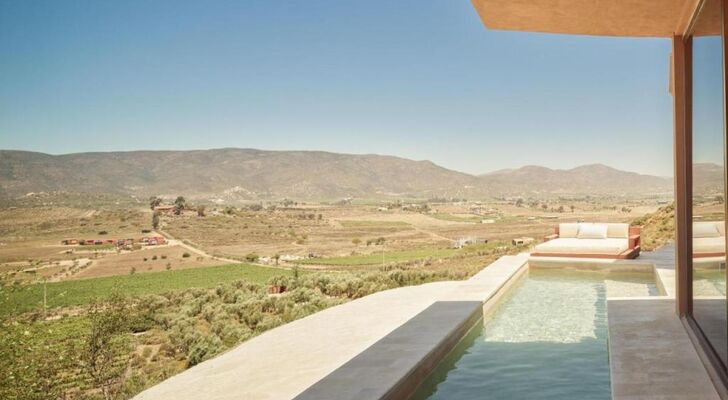 Banyan Tree Veya, Valle de Guadalupe
