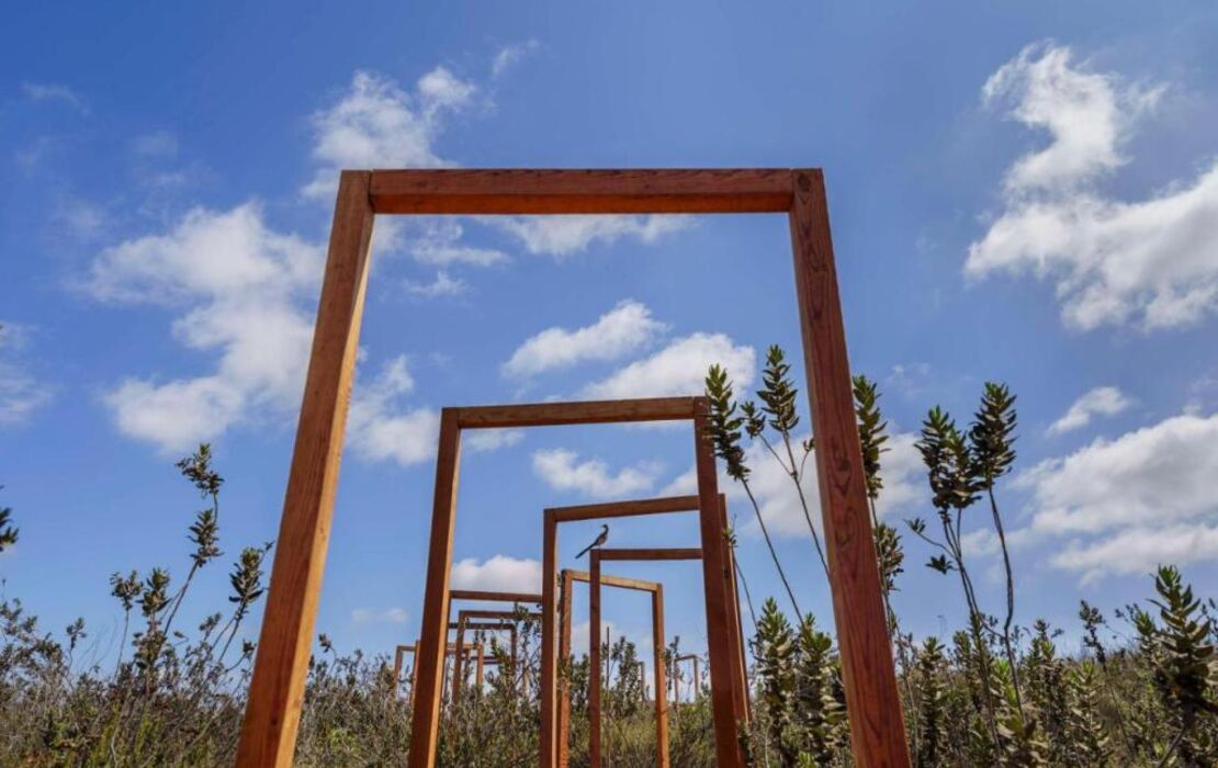 Banyan Tree Veya, Valle de Guadalupe