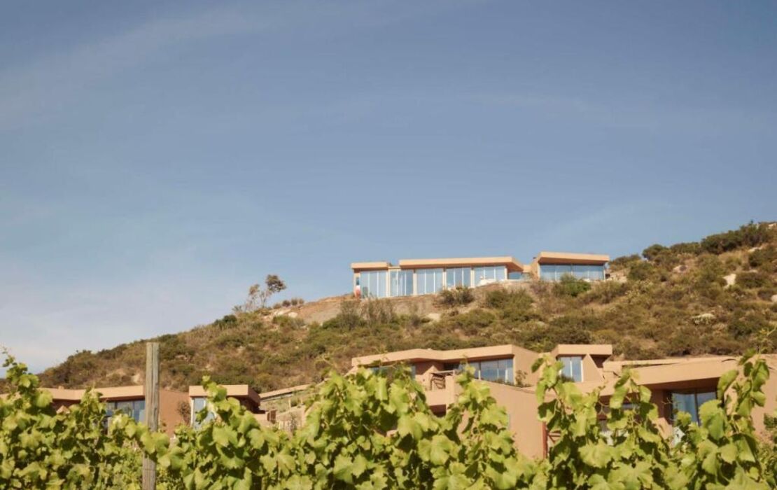 Banyan Tree Veya, Valle de Guadalupe