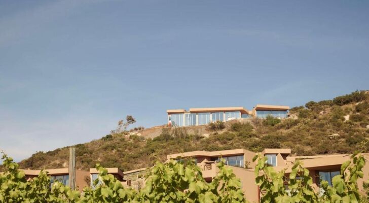 Banyan Tree Veya, Valle de Guadalupe