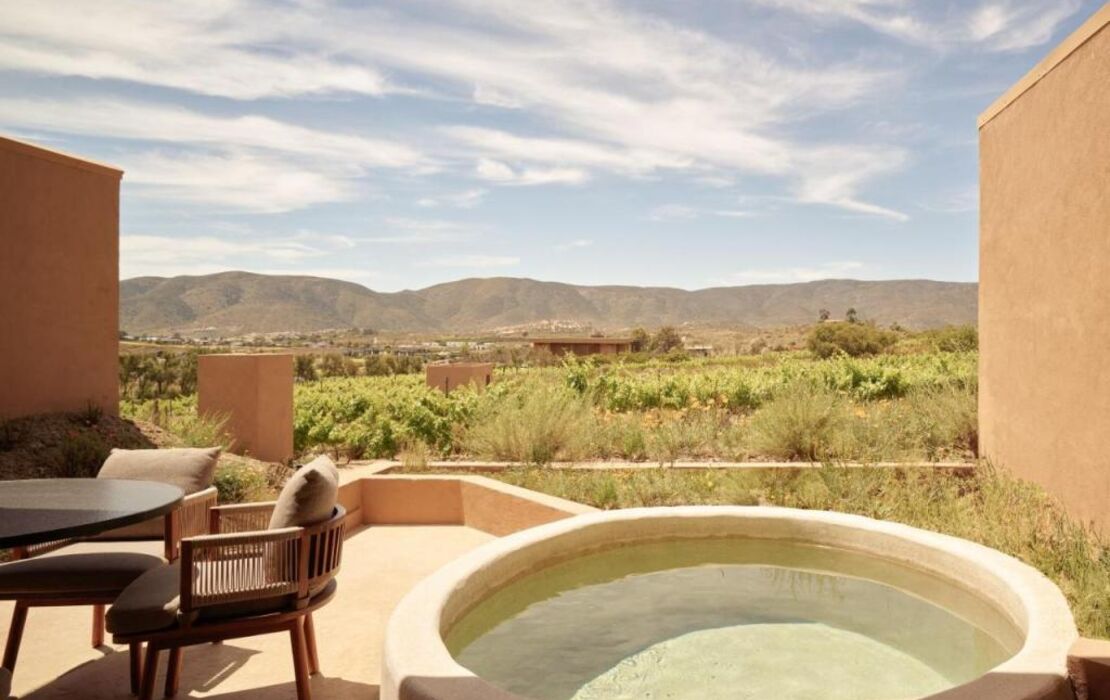 Banyan Tree Veya, Valle de Guadalupe