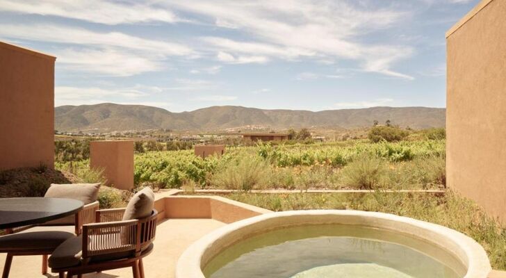 Banyan Tree Veya, Valle de Guadalupe